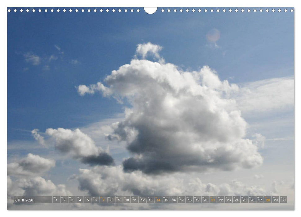 Im Oderbruch (CALVENDO Wandkalender 2026)