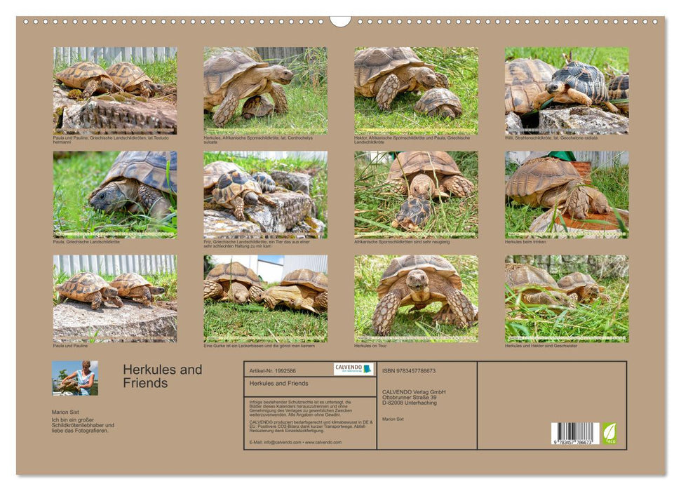 Herkules and Friends (CALVENDO Wandkalender 2026)