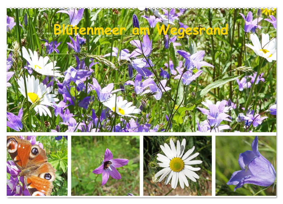 Blütenmeer am Wegesrand (CALVENDO Wandkalender 2026)