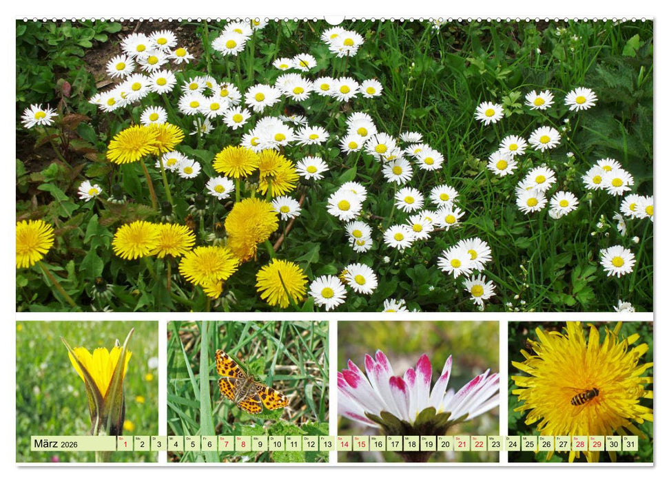 Blütenmeer am Wegesrand (CALVENDO Wandkalender 2026)