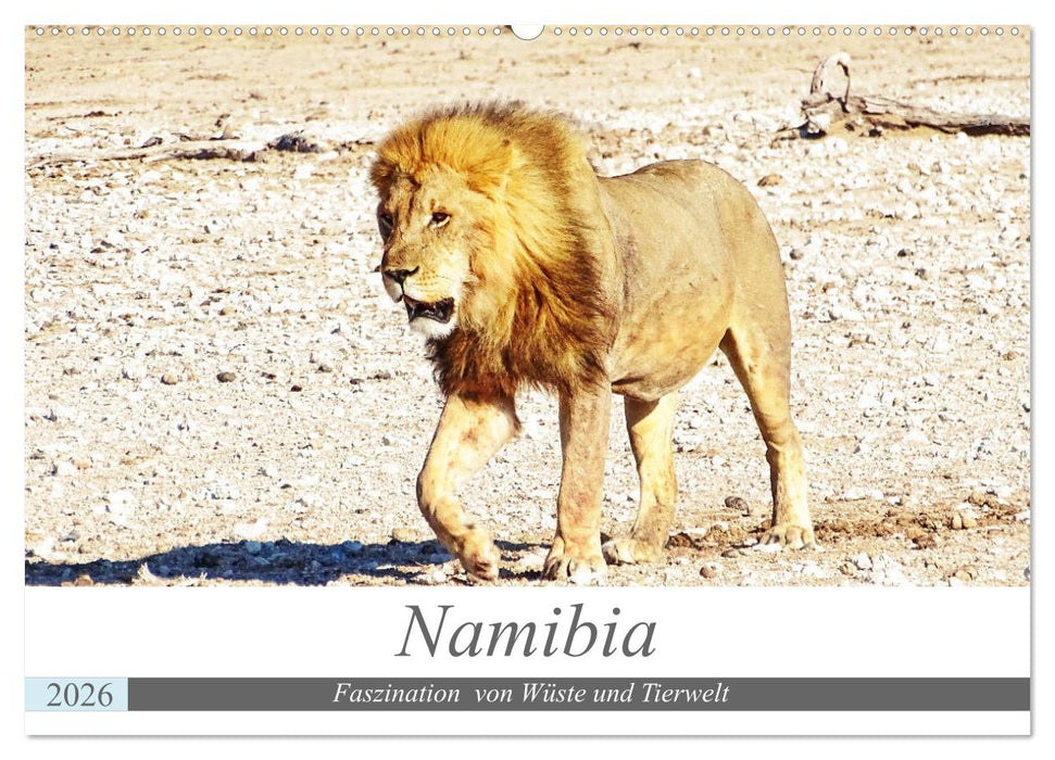 Namibia, Faszination Wüste und Tierwelt (CALVENDO Wandkalender 2026)
