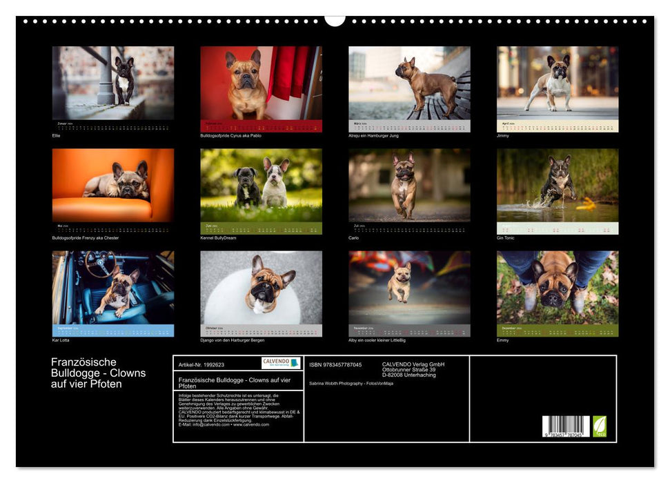 Französische Bulldogge - Clowns auf vier Pfoten (CALVENDO Wandkalender 2026)