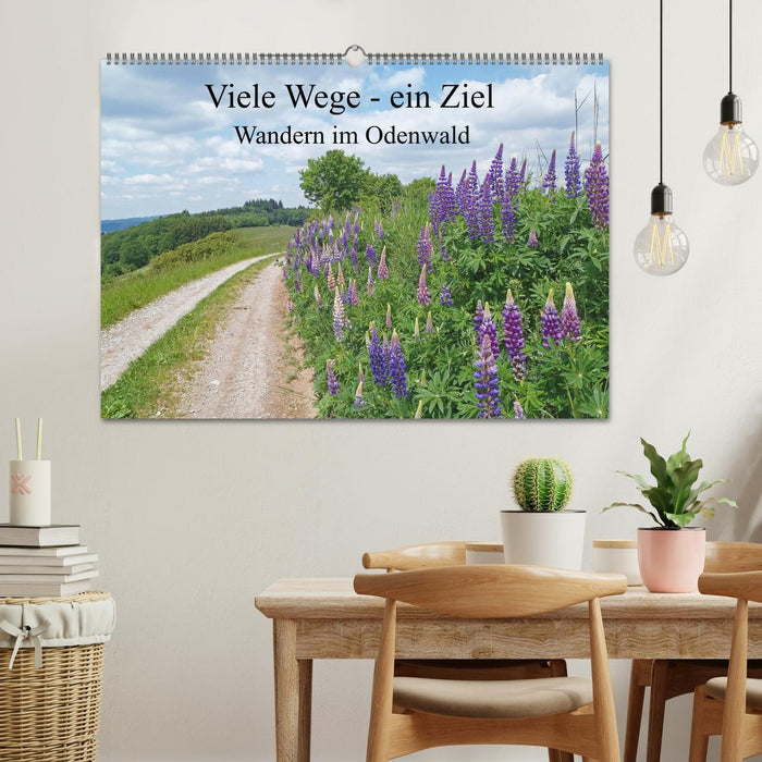 Viele Wege - ein Ziel Wandern im Odenwald (CALVENDO Wandkalender 2026)