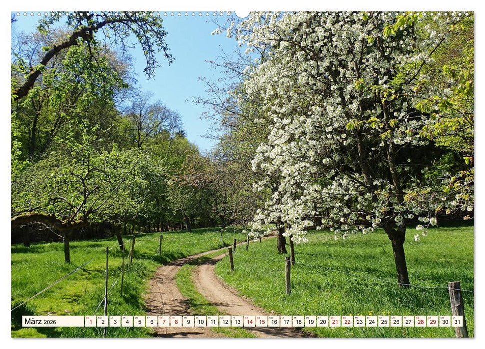 Viele Wege - ein Ziel Wandern im Odenwald (CALVENDO Wandkalender 2026)