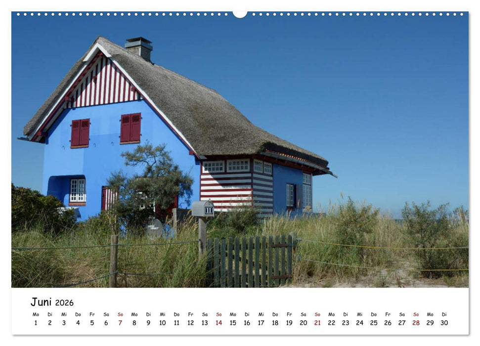 Heiligenhafenliebe (CALVENDO Wandkalender 2026)