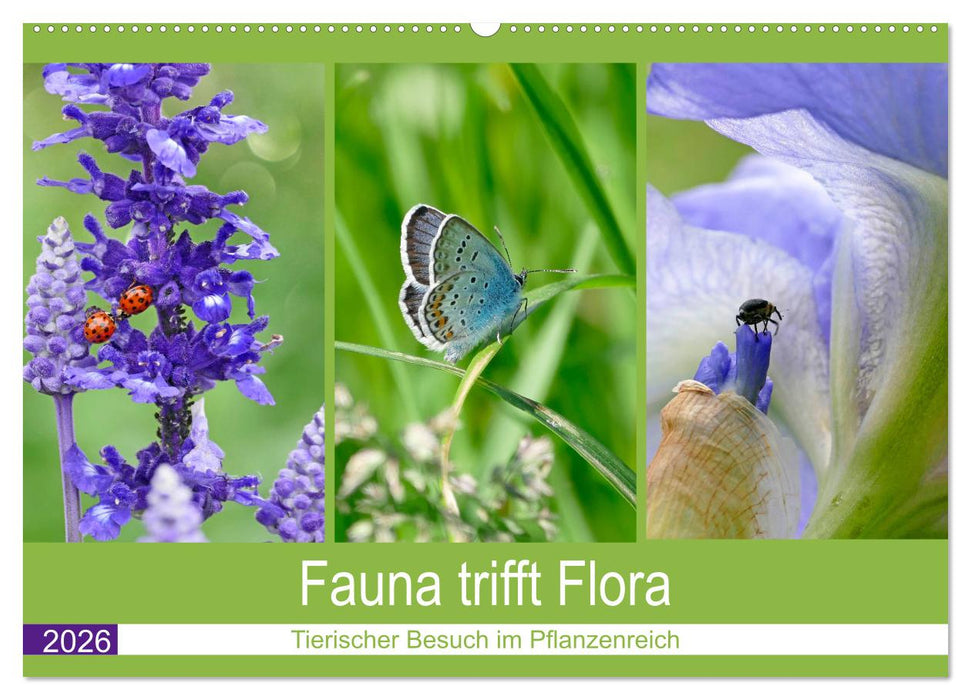 Fauna trifft Flora - Tierischer Besuch im Pflanzenreich (CALVENDO Wandkalender 2026)