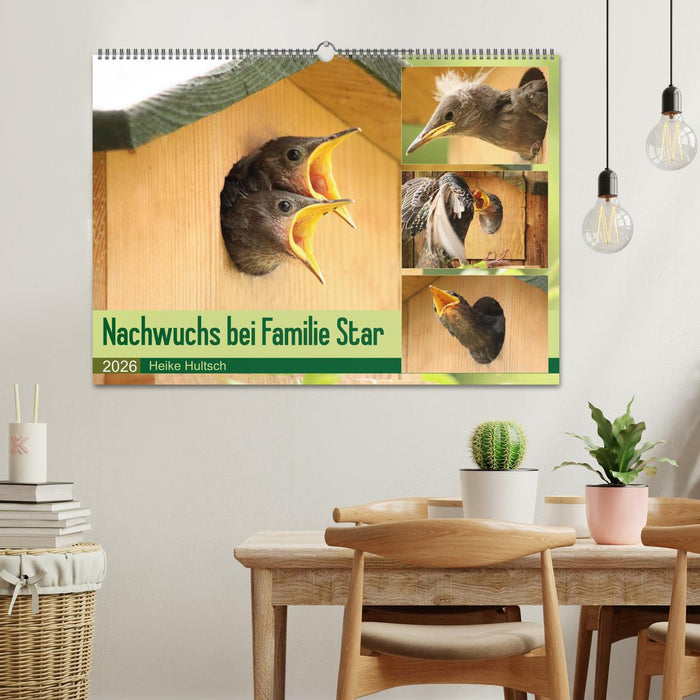 Nachwuchs bei Familie Star (CALVENDO Wandkalender 2026)