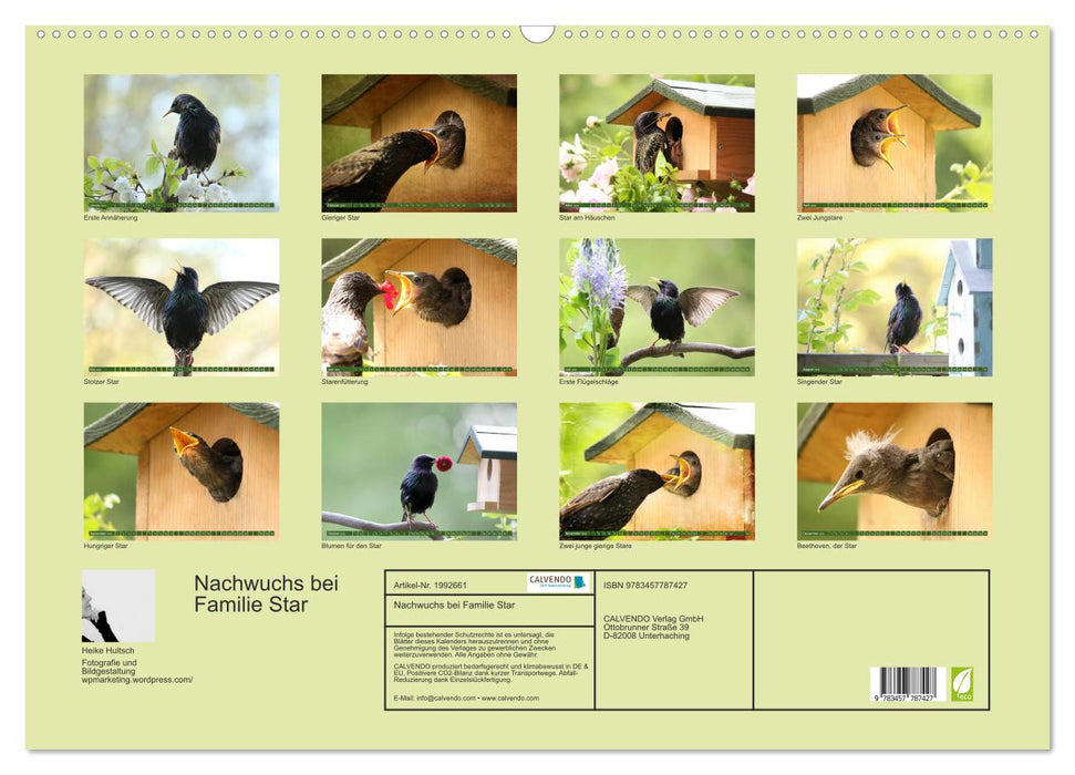 Nachwuchs bei Familie Star (CALVENDO Wandkalender 2026)