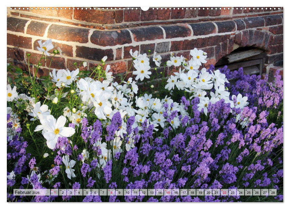 Es blüht im Sommer (CALVENDO Wandkalender 2026)
