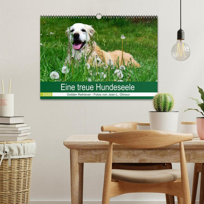 Eine treue Hundeseele - Golden Retriever (CALVENDO Wandkalender 2026)