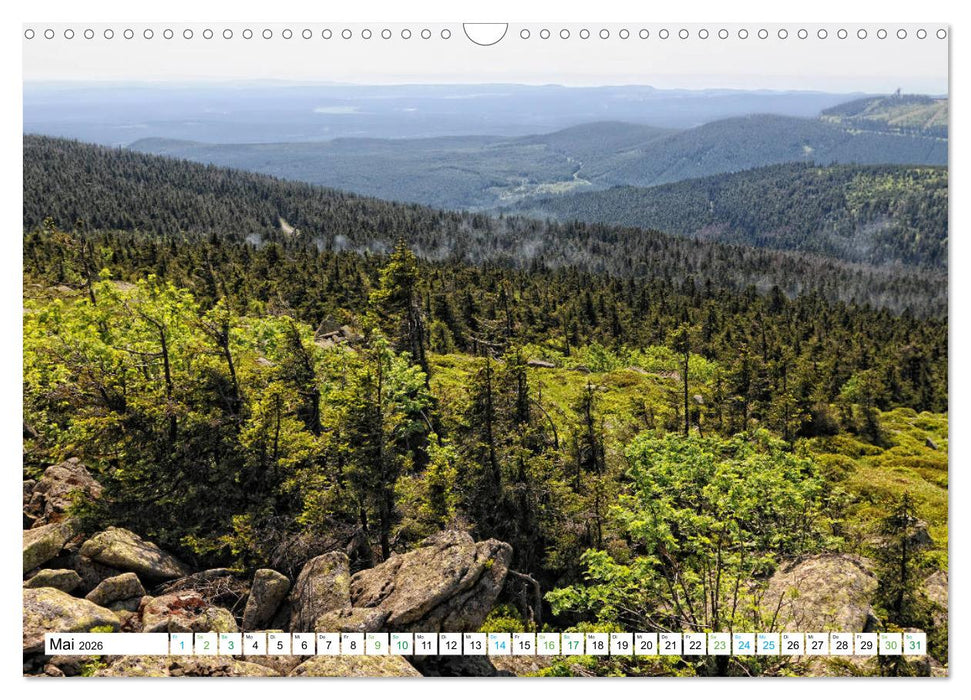 Harz - Ausflugsziele vom Brocken bis Sangerhausen (CALVENDO Wandkalender 2026)