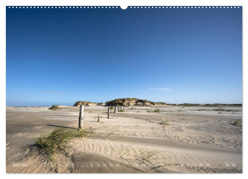 Römö - Strände und Dünen (CALVENDO Wandkalender 2026)