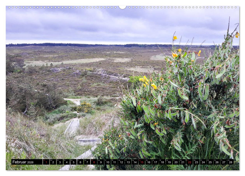 Urlaub auf Römö (CALVENDO Wandkalender 2026)