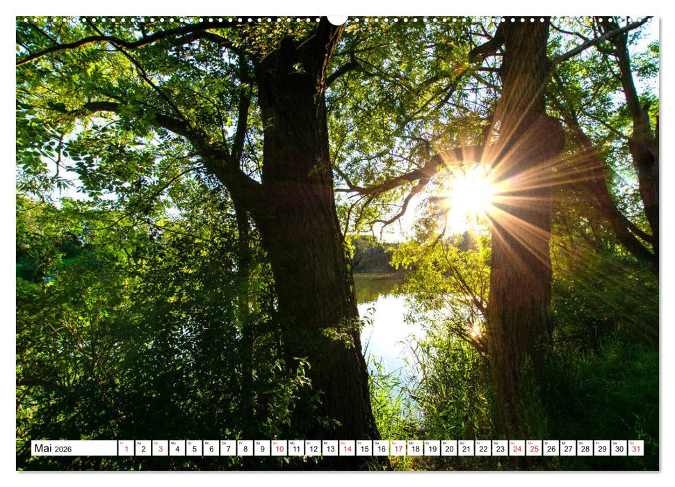 Brandenburgs Gewässer (CALVENDO Wandkalender 2026)