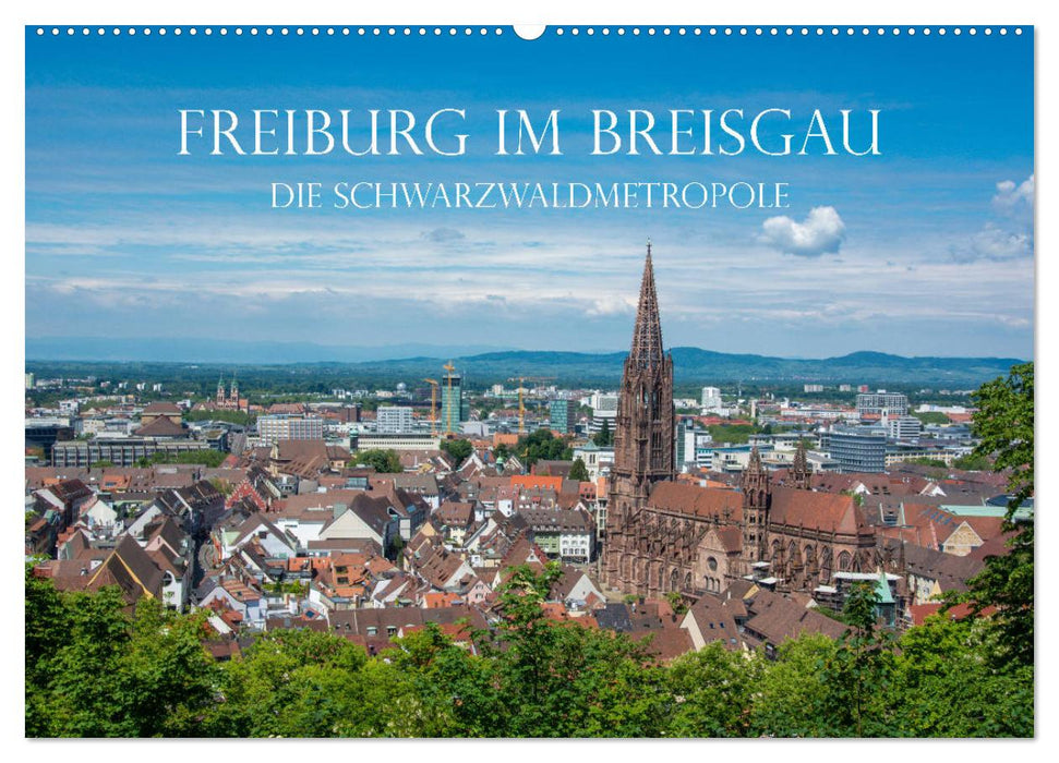 Freiburg im Breisgau - Die Schwarzwaldmetropole (CALVENDO Wandkalender 2026)