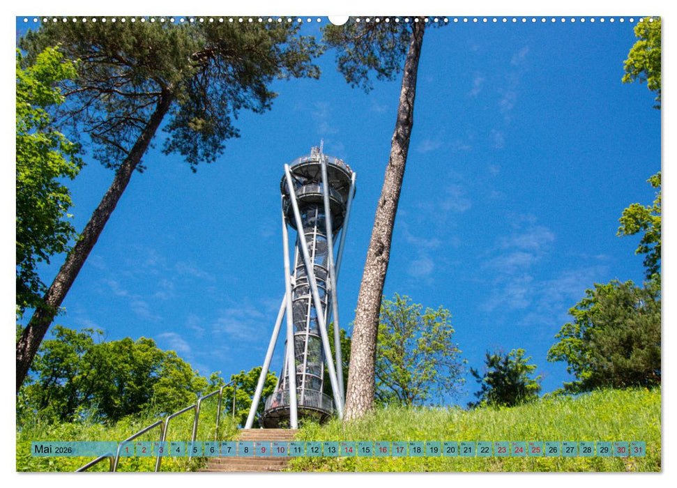 Freiburg im Breisgau - Die Schwarzwaldmetropole (CALVENDO Wandkalender 2026)