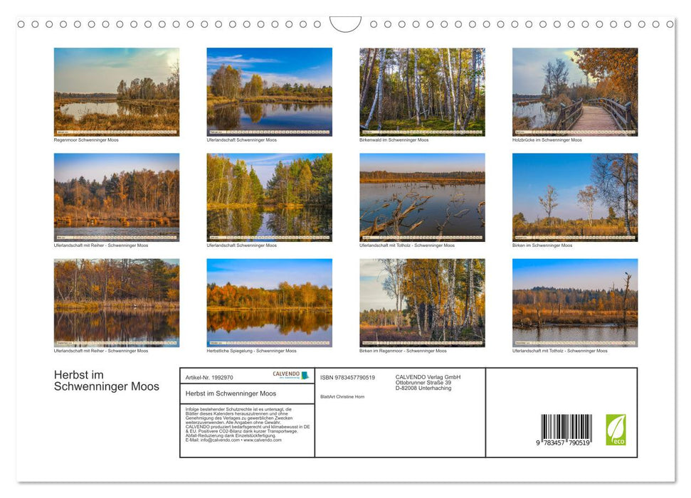 Herbst im Schwenninger Moos (CALVENDO Wandkalender 2026)
