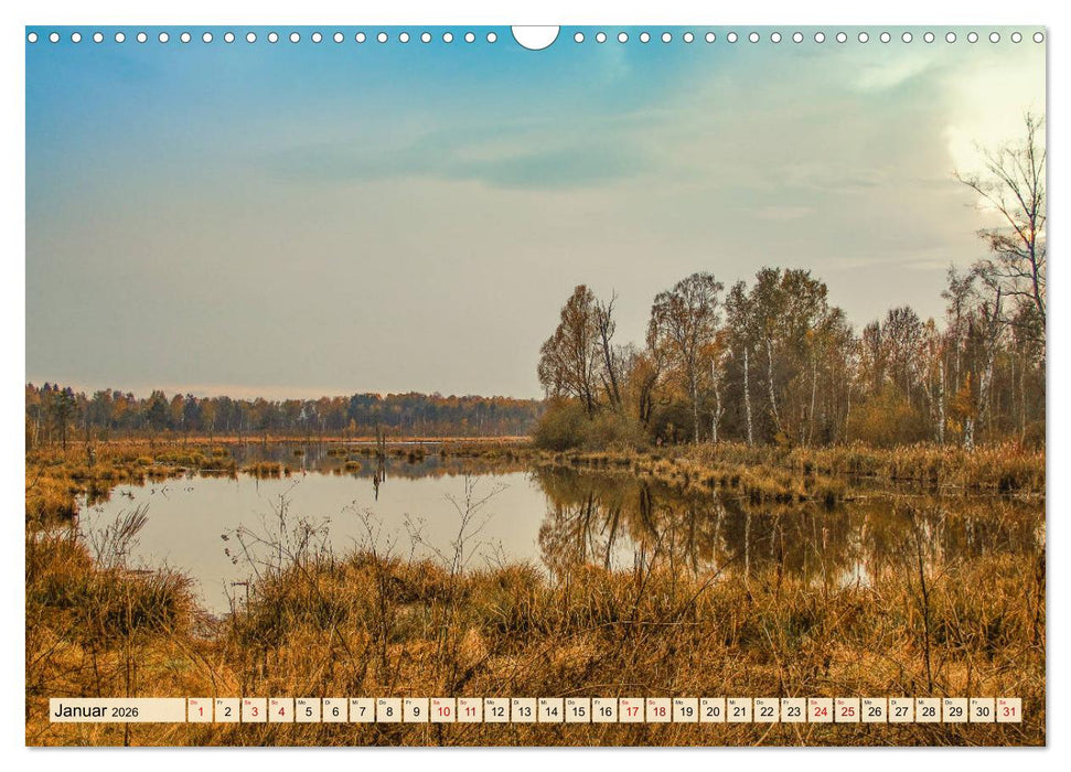 Herbst im Schwenninger Moos (CALVENDO Wandkalender 2026)