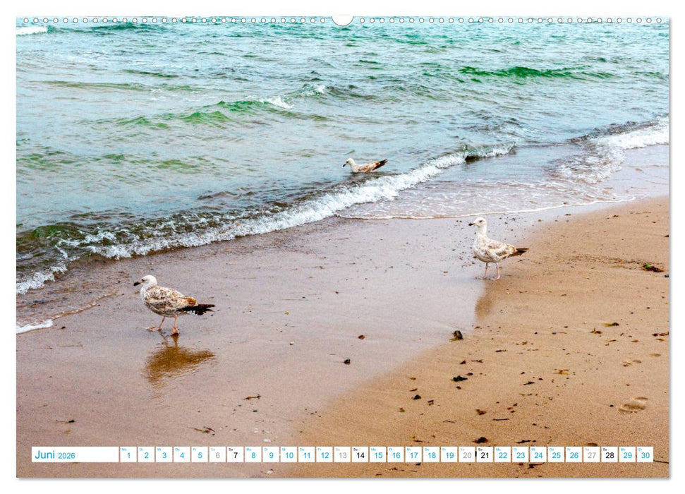 Warnemünde - Sommer, Sonne und Sand im Schuh (CALVENDO Wandkalender 2026)
