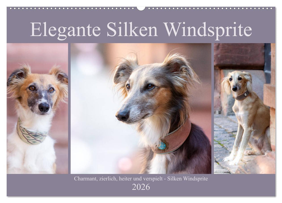 Elegante Silken Windsprite (CALVENDO Wandkalender 2026)