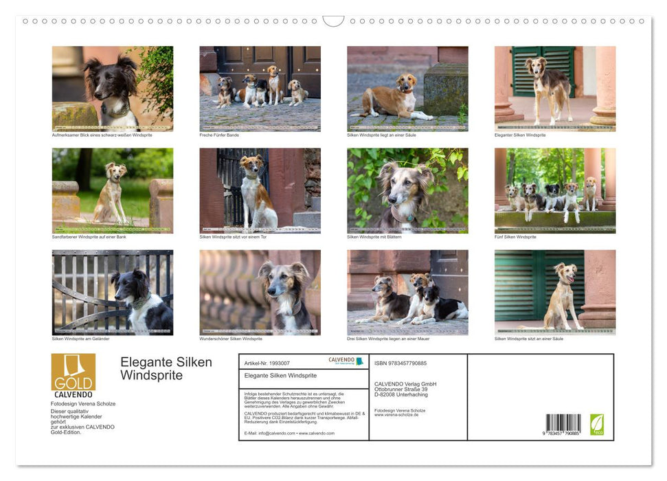 Elegante Silken Windsprite (CALVENDO Wandkalender 2026)