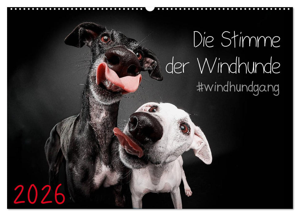 Die Stimme der Windhunde (CALVENDO Wandkalender 2026)