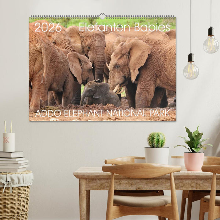 ADDO ELEPHANT NATIONAL PARK Elefanten Babies (CALVENDO Wandkalender 2026)