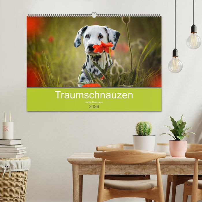 Traumschnauzen (CALVENDO Wandkalender 2026)