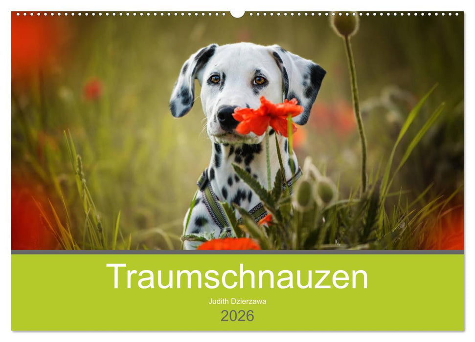 Traumschnauzen (CALVENDO Wandkalender 2026)