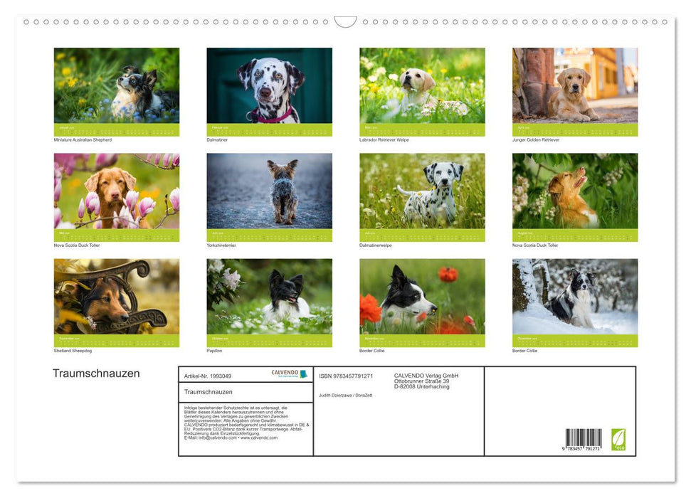 Traumschnauzen (CALVENDO Wandkalender 2026)