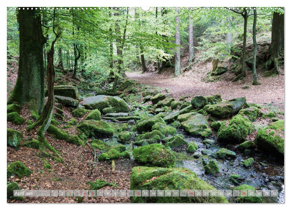 Teutoburger Wald - Natur und Kultur (CALVENDO Wandkalender 2026)