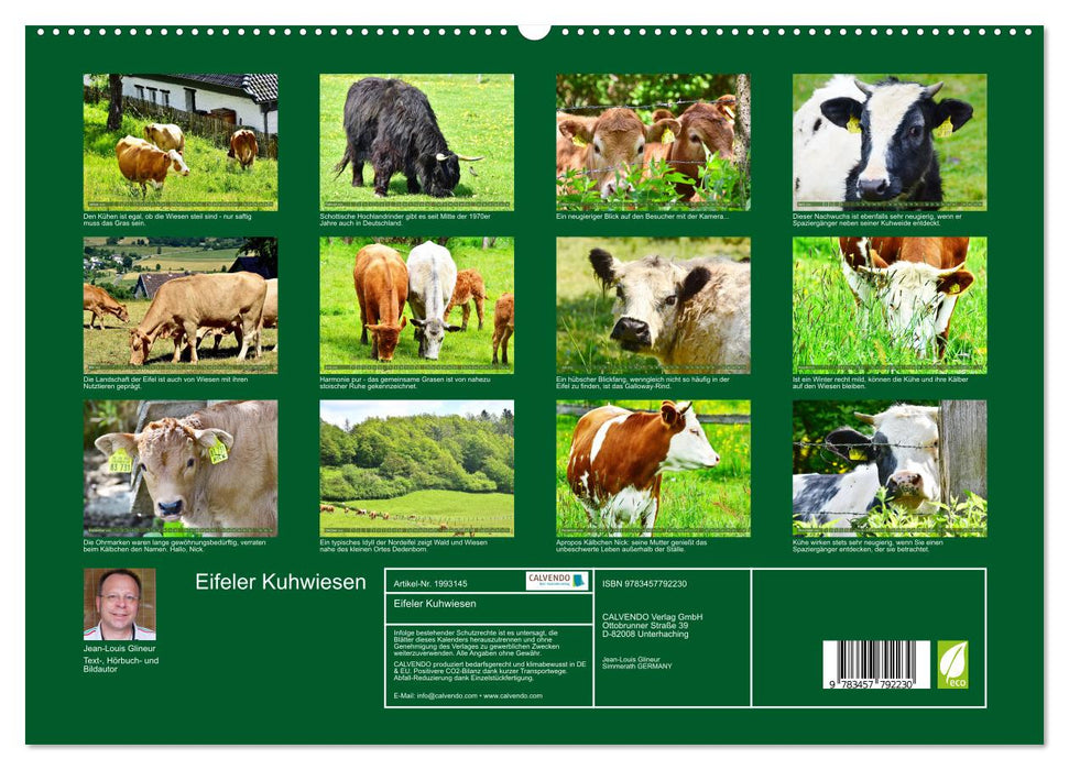 Eifeler Kuhwiesen (CALVENDO Premium Wandkalender 2026)