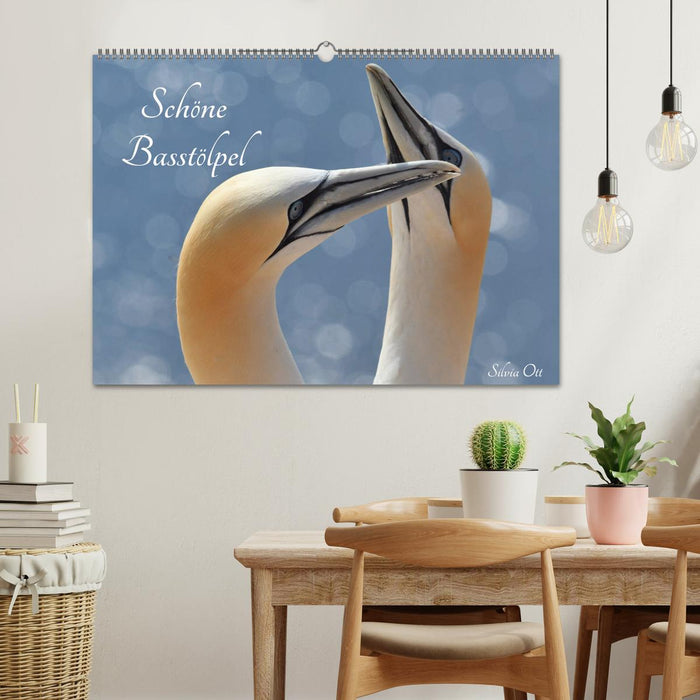 Schöne Basstölpel (CALVENDO Wandkalender 2026)