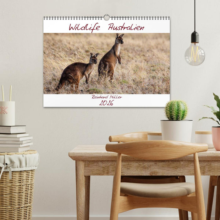 Wildlife Australien (CALVENDO Wandkalender 2026)