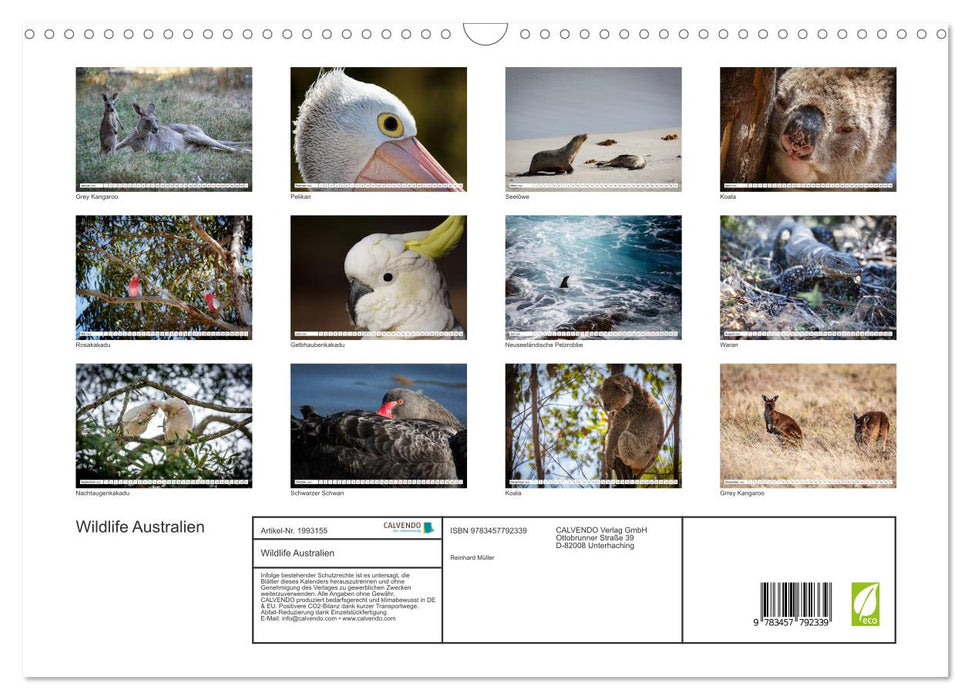 Wildlife Australien (CALVENDO Wandkalender 2026)