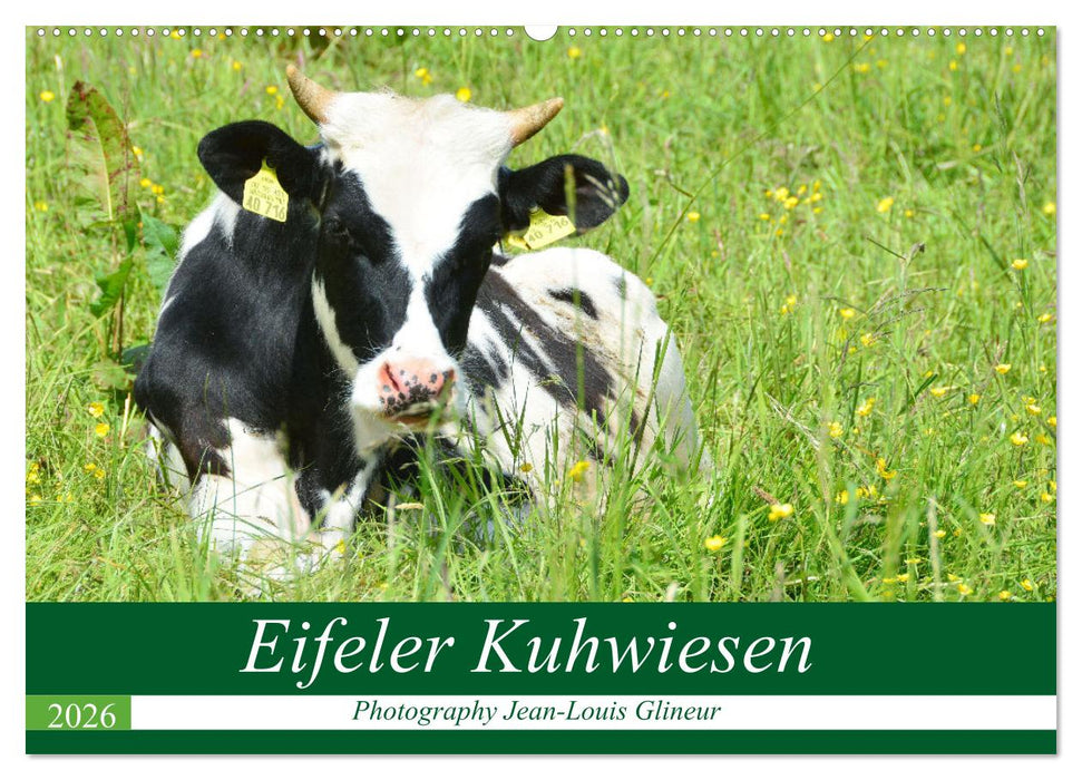 Eifeler Kuhwiesen (CALVENDO Wandkalender 2026)