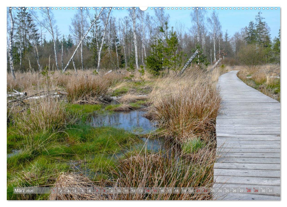 Lieblingsplätze in und um Tübingen (CALVENDO Wandkalender 2026)