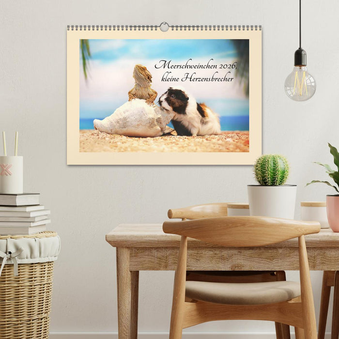 Meerschweinchen 2026, kleine Herzensbrecher (CALVENDO Wandkalender 2026)