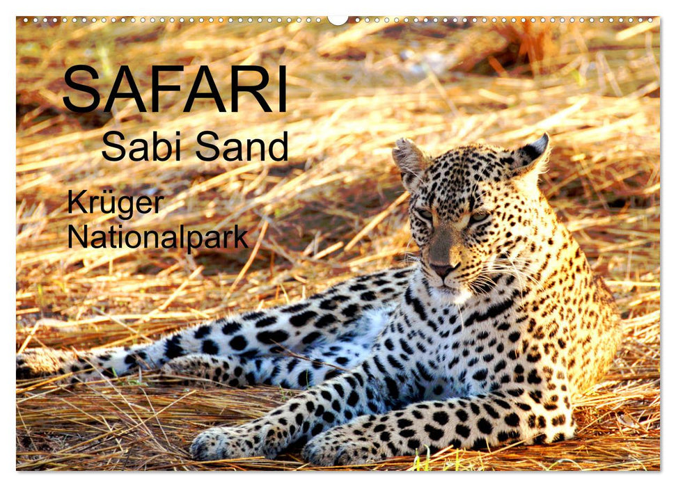 Safari / Afrika (CALVENDO Wandkalender 2026)