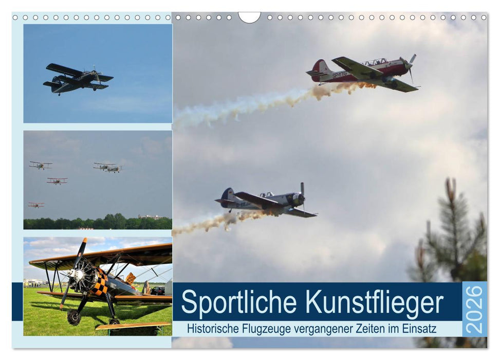 Sportliche Kunstflieger (CALVENDO Wandkalender 2026)