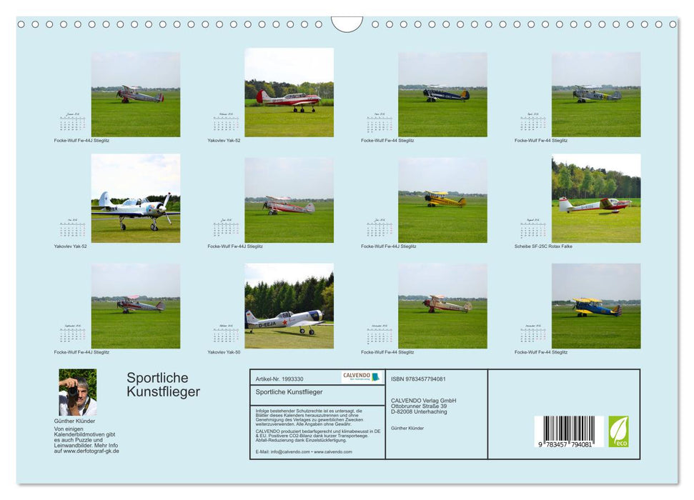 Sportliche Kunstflieger (CALVENDO Wandkalender 2026)