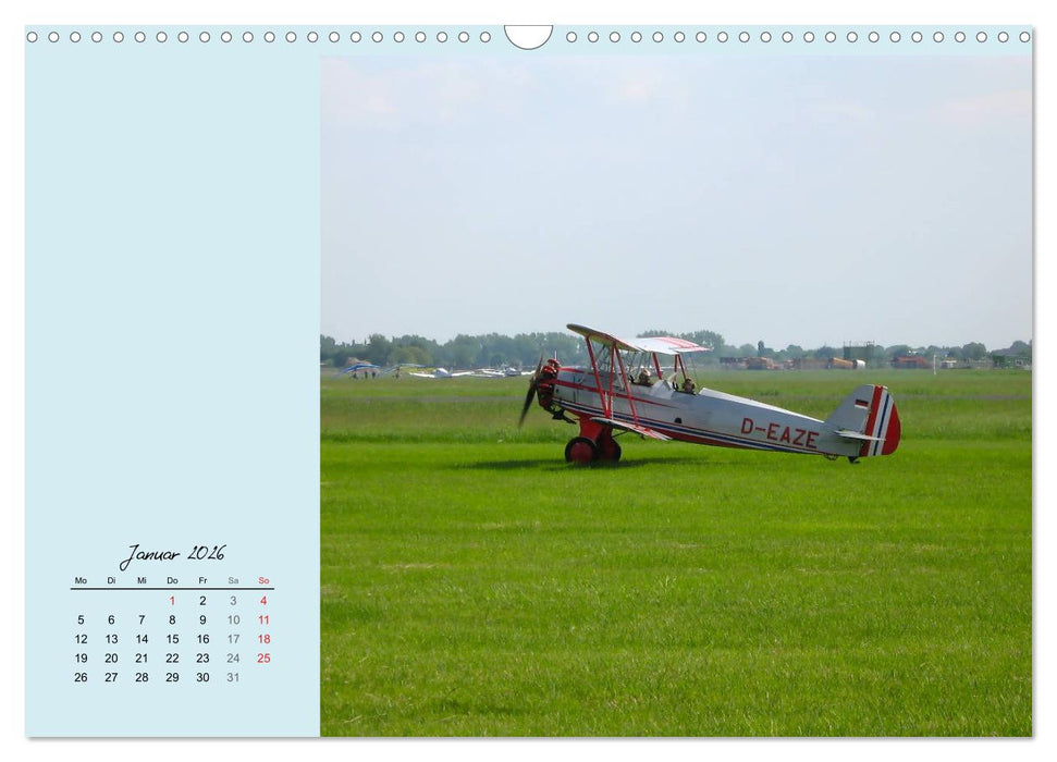 Sportliche Kunstflieger (CALVENDO Wandkalender 2026)