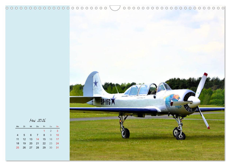 Sportliche Kunstflieger (CALVENDO Wandkalender 2026)