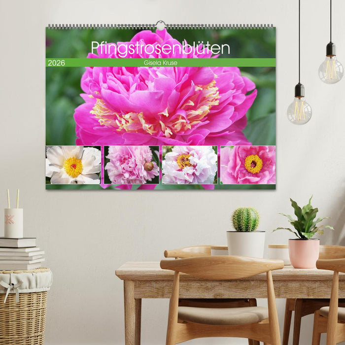 Pfingstrosenblüten (CALVENDO Wandkalender 2026)