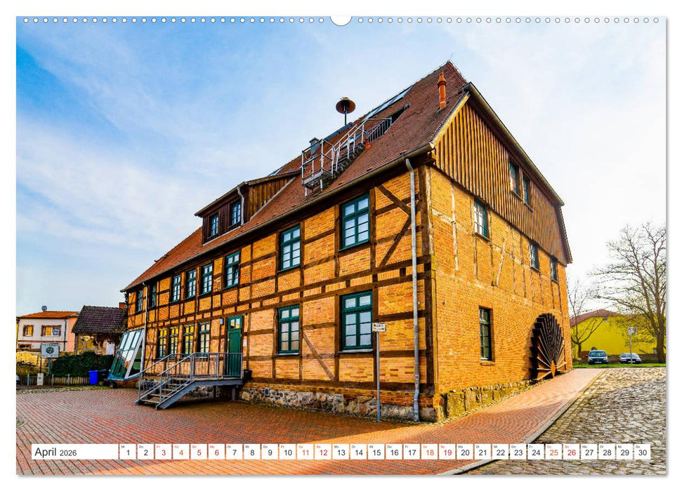 Schwaan Impressionen (CALVENDO Wandkalender 2026)