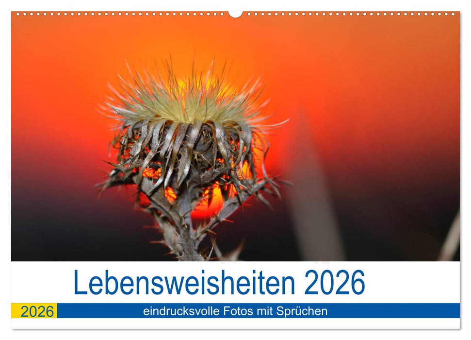 Lebensweisheiten 2026 (CALVENDO Wandkalender 2026)