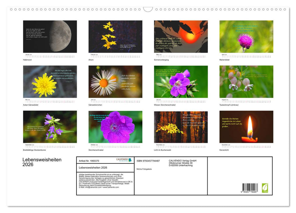 Lebensweisheiten 2026 (CALVENDO Wandkalender 2026)