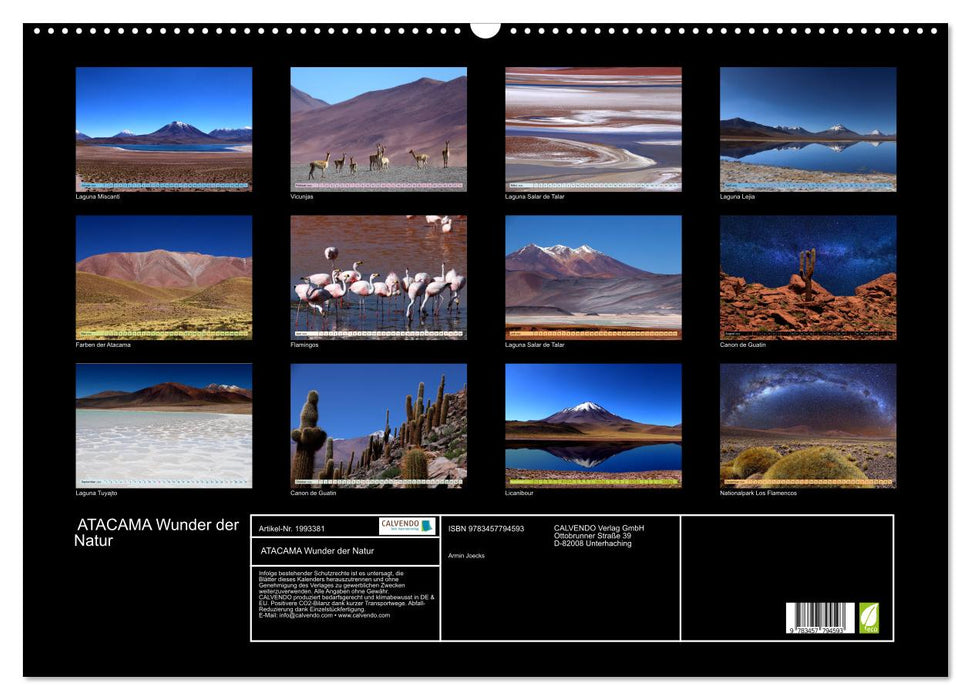 ATACAMA Wunder der Natur (CALVENDO Wandkalender 2026)