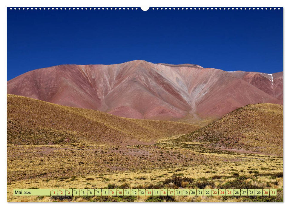 ATACAMA Wunder der Natur (CALVENDO Wandkalender 2026)