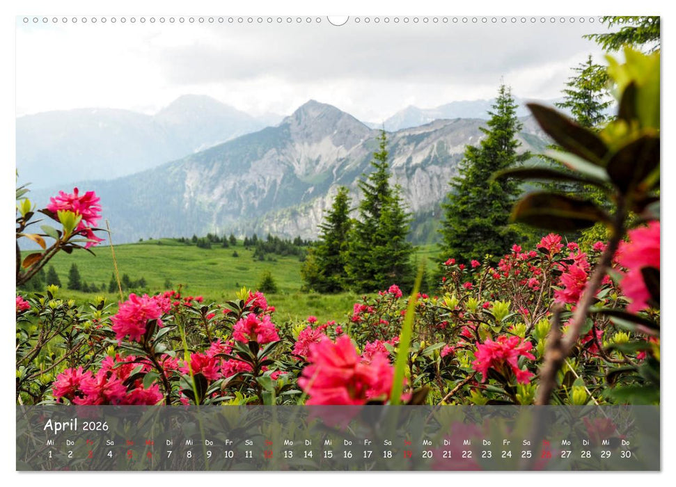 Ammergauer Alpen (CALVENDO Premium Wandkalender 2026)